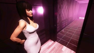 I Finally Bought a Private Dancer – Metro Sim Hustle I Finally Bought a Private Dancer – Metro Sim Hustle