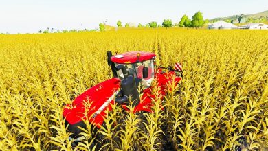 Literally Filling the Entire World with Corn – Farming Simulator 19 Literally Filling the Entire World with Corn – Farming Simulator 19