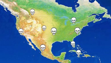 I Tried To End the World With Pollution And This Happened – Power and Revolution 2019 I Tried To End the World With Pollution And This Happened – Power and Revolution 2019