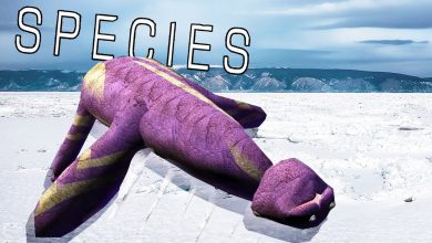 Surviving an Ice Age Apocalypse? – Species: Artificial Life, Real Evolution