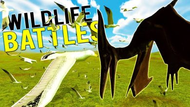 COULD A FLOCK OF SEAGULLS DEFEAT A PTERODACTYL? WILDLIFE BATTLES! – Beast Battle Simulator Gameplay