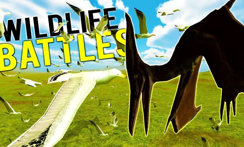 COULD A FLOCK OF SEAGULLS DEFEAT A PTERODACTYL? WILDLIFE BATTLES! – Beast Battle Simulator Gameplay