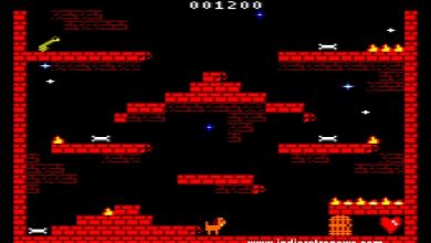 JAX THE DOG – A fun for all the family game for the Amstrad CPC by CapaSoft JAX THE DOG – A fun for all the family game for the Amstrad CPC by CapaSoft