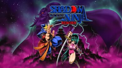 Review: Shadow of the Ninja Reborn