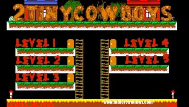 2Tinycowboys – A WIP 2-player single-screen arcade-platformer for the Amiga 500 gets a demo