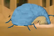 Slay the Spire 2