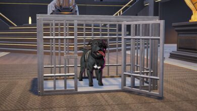 How to rescue or pet John Wick’s dog in Fortnite How to rescue or pet John Wick’s dog in Fortnite