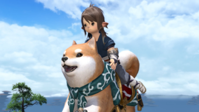 Final Fantasy 14 rewards Japanese players for paying their taxes: make a donation and get a pile of MMO cosmetics Final Fantasy 14 rewards Japanese players for paying their taxes: make a donation and get a pile of MMO cosmetics